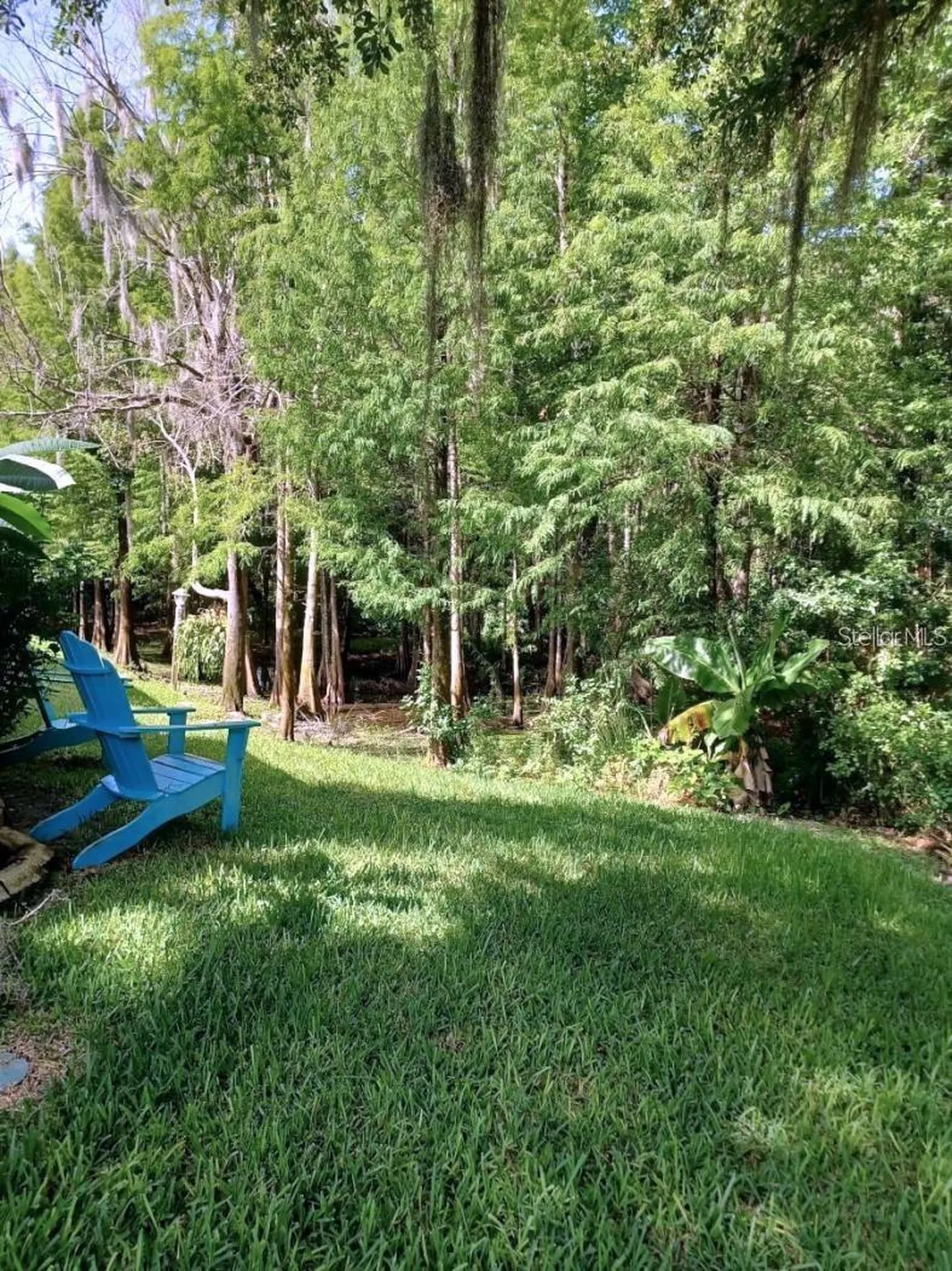 1605 Send Way Lutz FL 33549