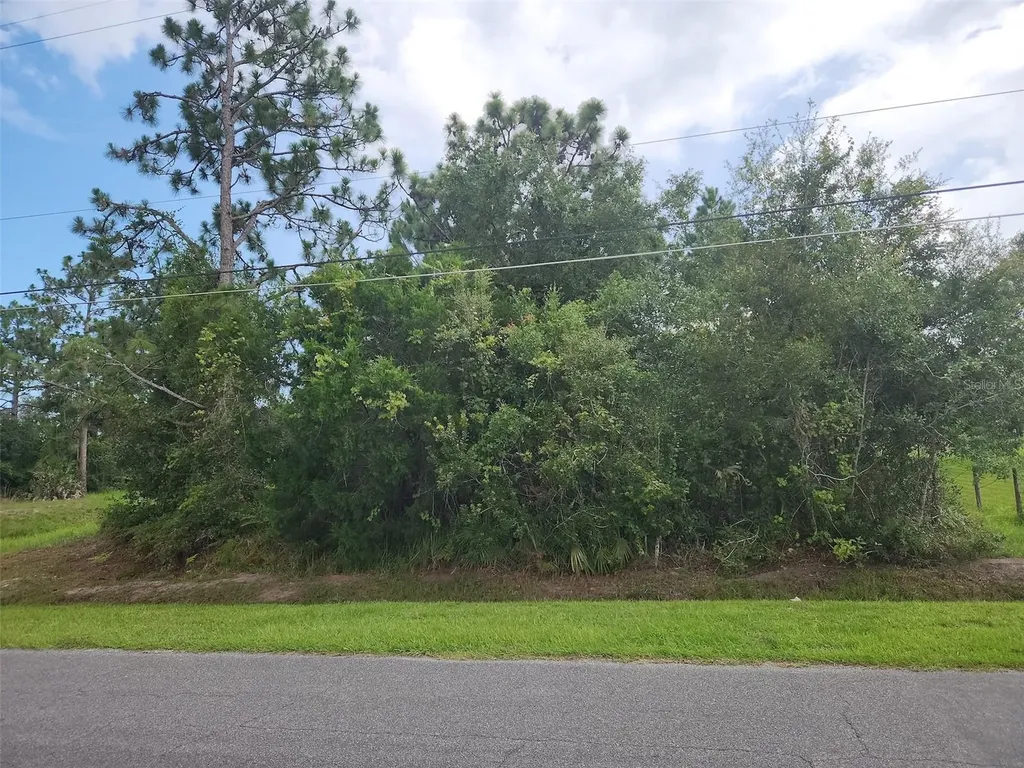 Ralston Street Orlando FL 32833