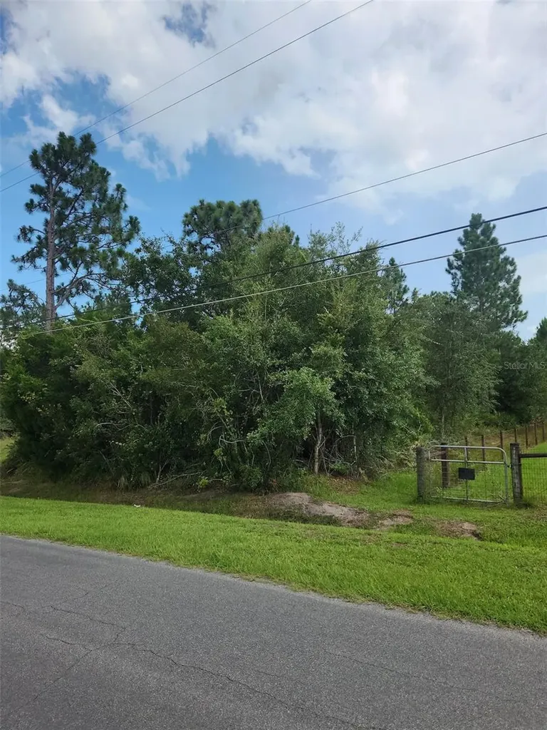 Ralston Street Orlando FL 32833