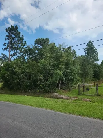 Ralston Street Orlando FL 32833