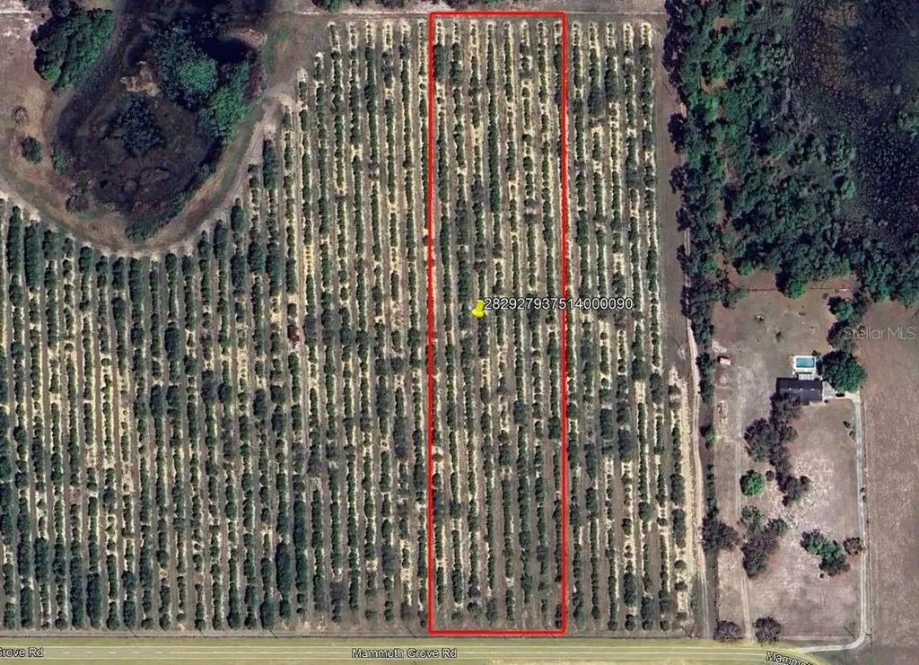 Mammoth Grove Road Lake Wales FL 33898