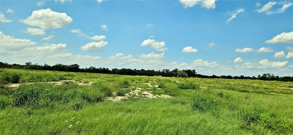 Mammoth Grove Road Lake Wales FL 33898