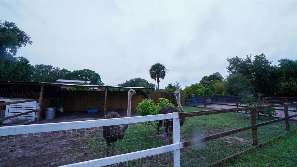 2851 Granada Boulevard Kissimmee FL 34746