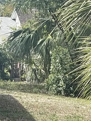 Jungle Way Sarasota FL 34243