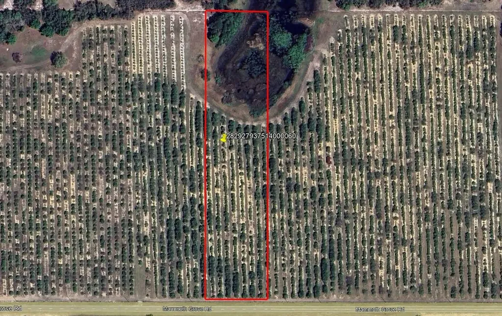 Mammoth Grove Road Lake Wales FL 33898