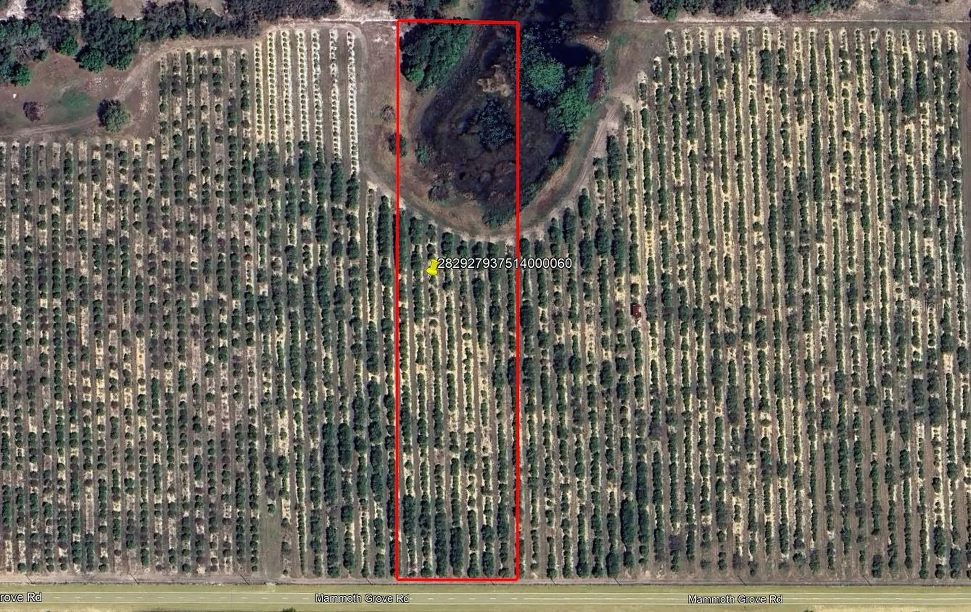Mammoth Grove Road Lake Wales FL 33898