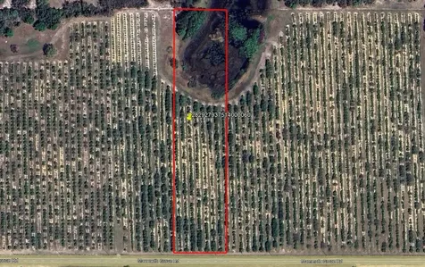 Mammoth Grove Road Lake Wales FL 33898
