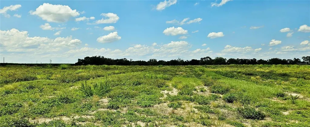 Mammoth Grove Road Lake Wales FL 33898