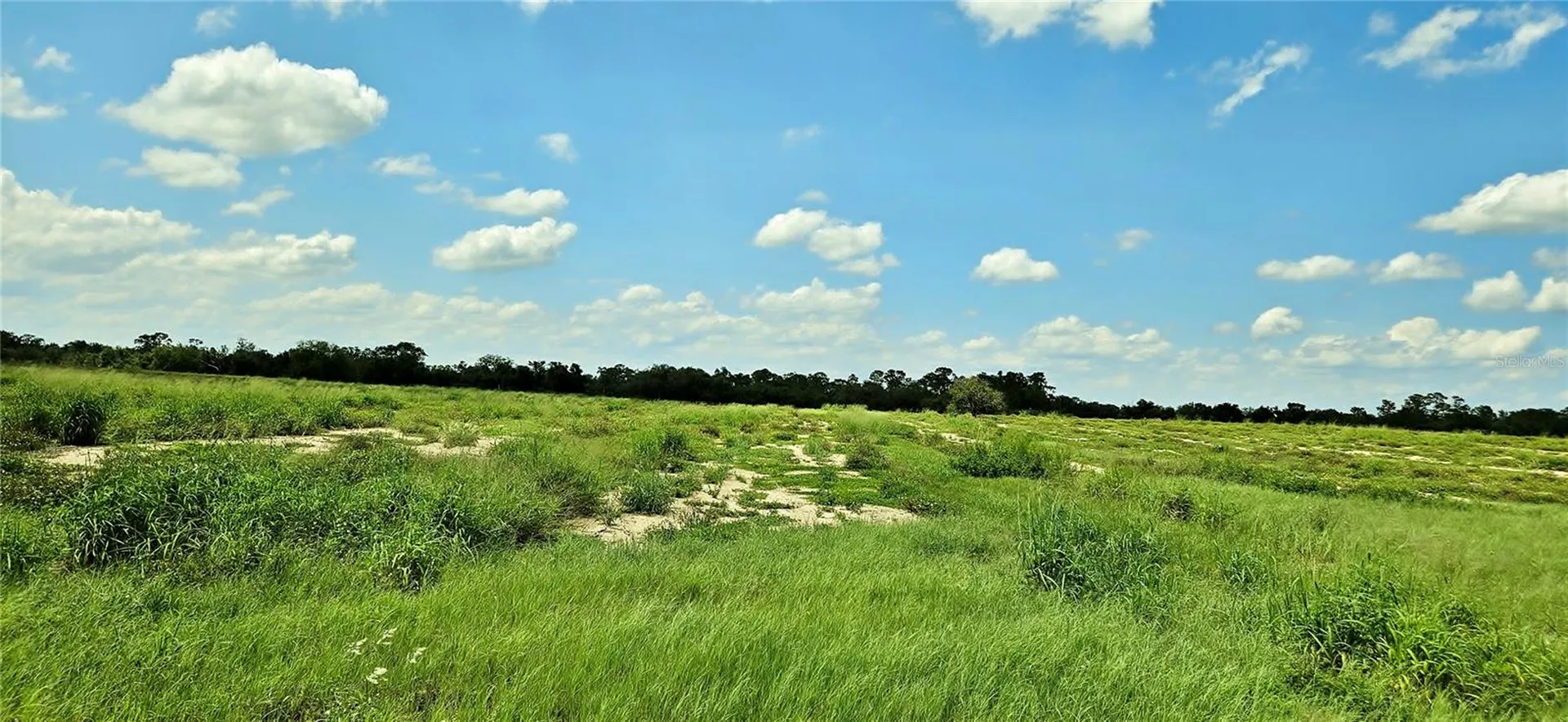 Mammoth Grove Road Lake Wales FL 33898