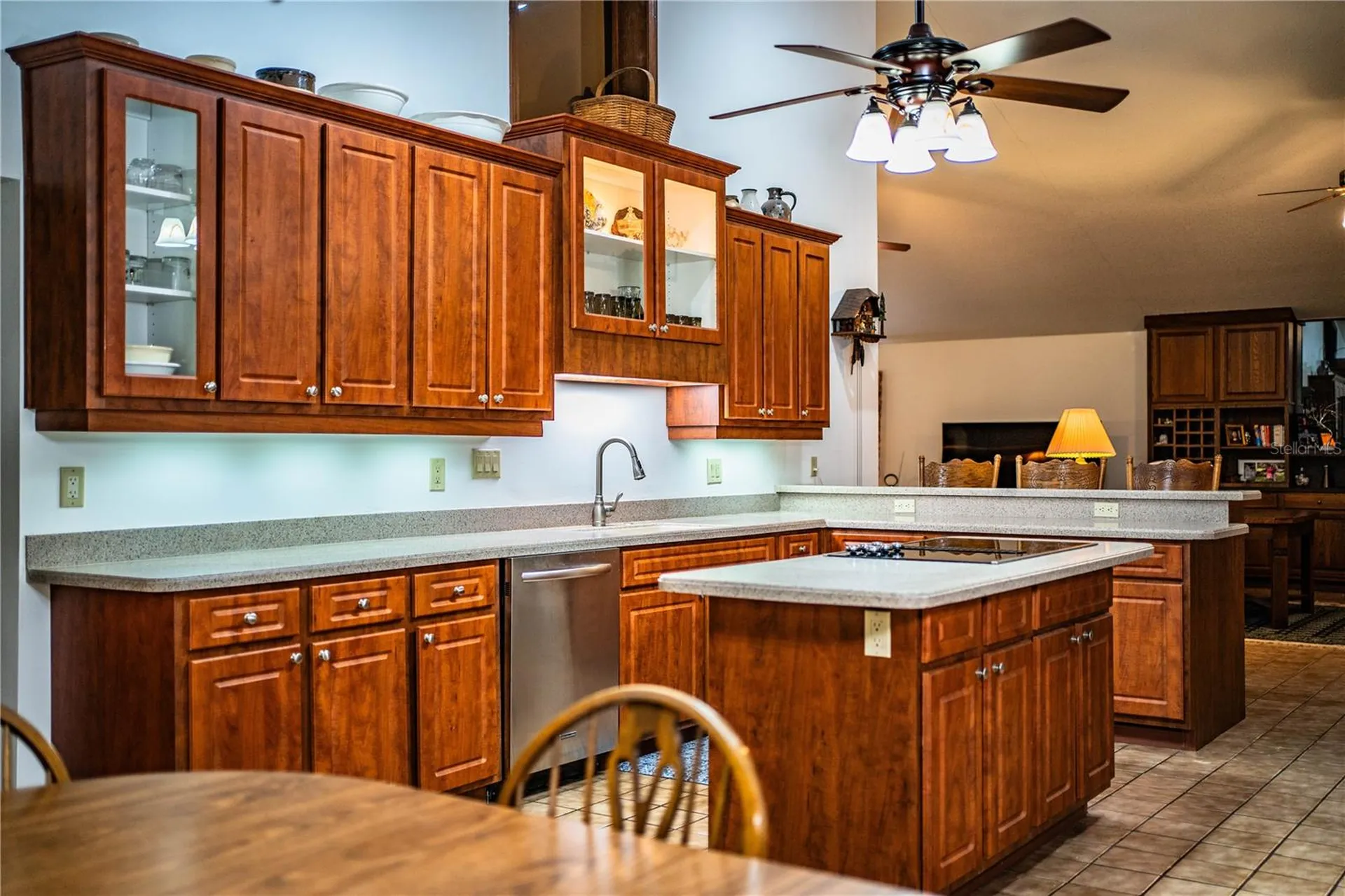 309 Hidden Lake Drive Brandon FL 33511