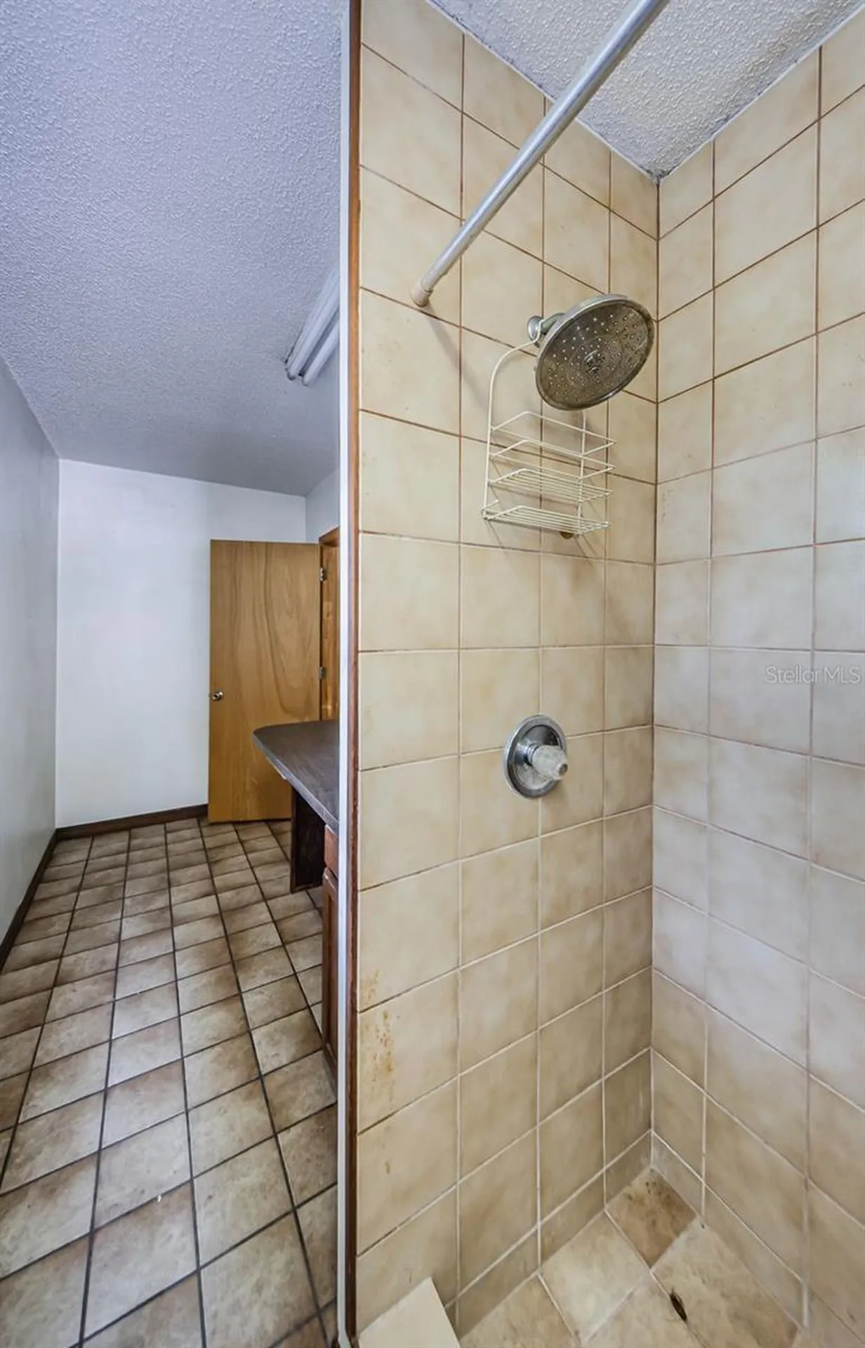 309 Hidden Lake Drive Brandon FL 33511