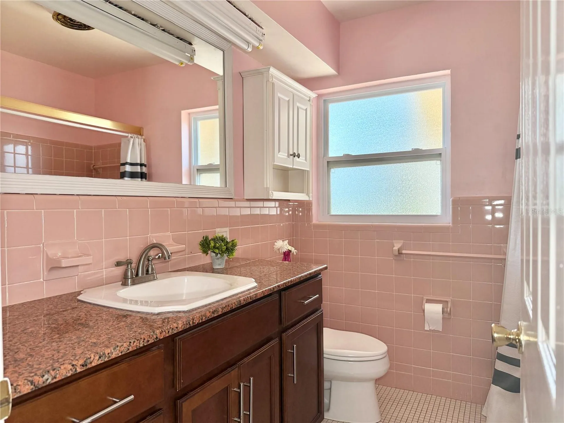 2523 Krueger Lane Tampa FL 33618