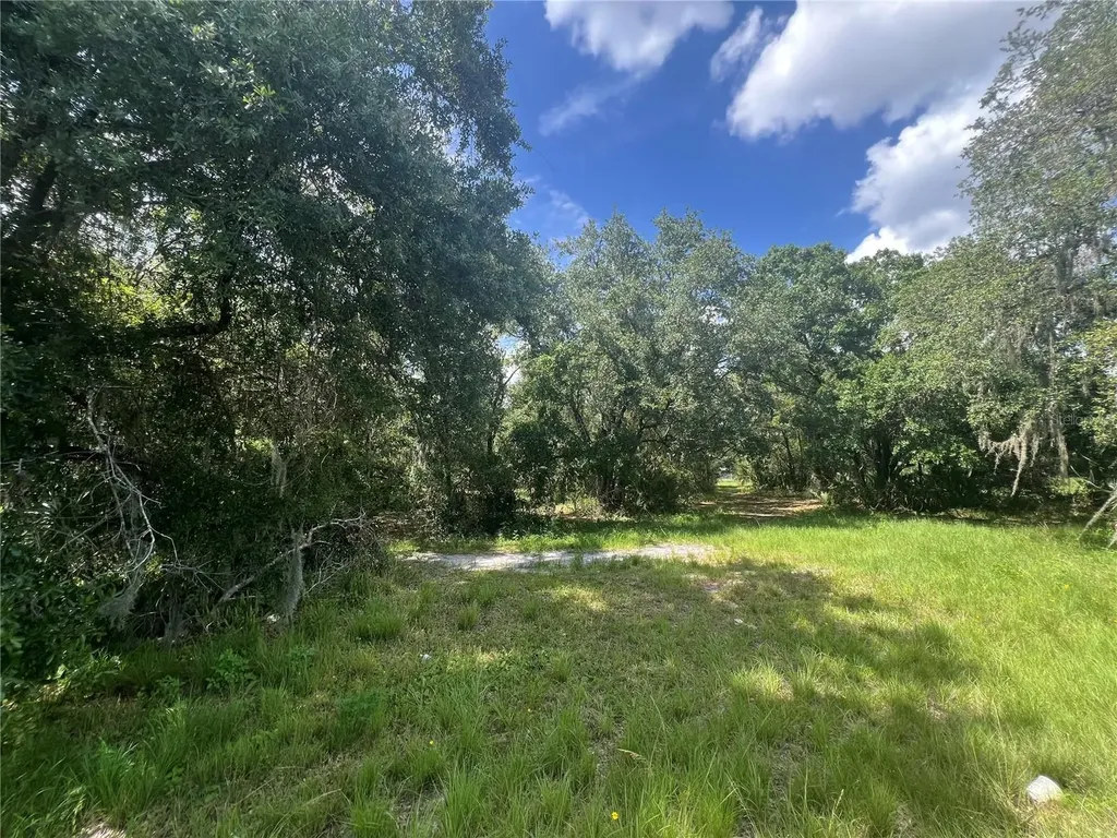 1308 E Alsobrook Street Plant City FL 33563