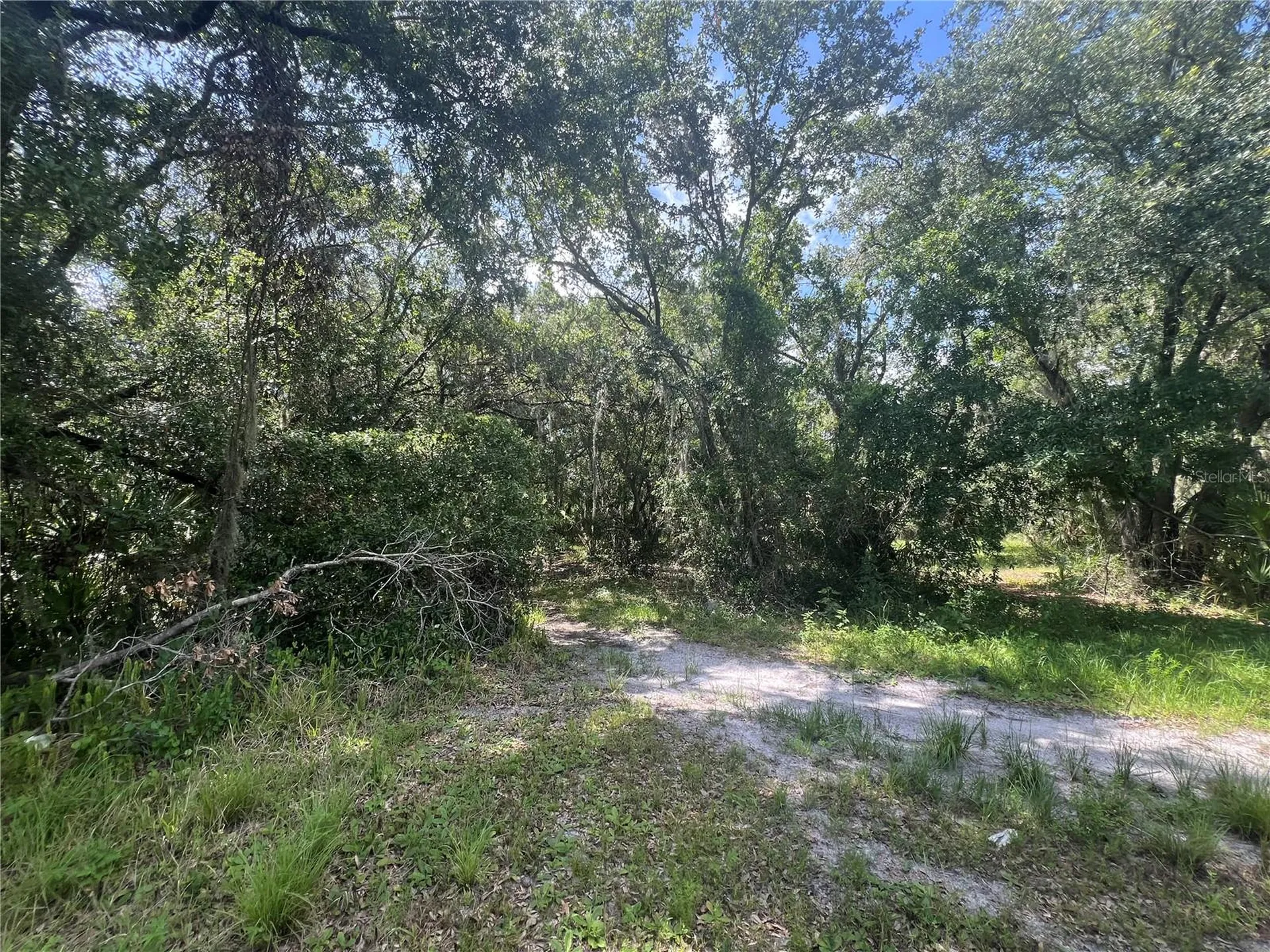 1308 E Alsobrook Street Plant City FL 33563