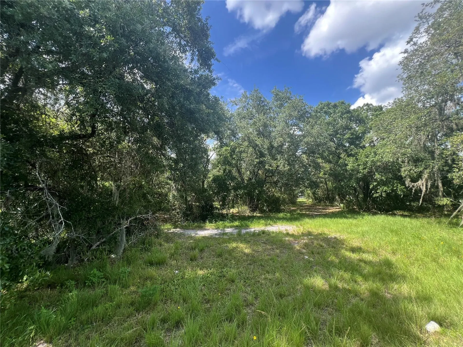1308 E Alsobrook Street Plant City FL 33563