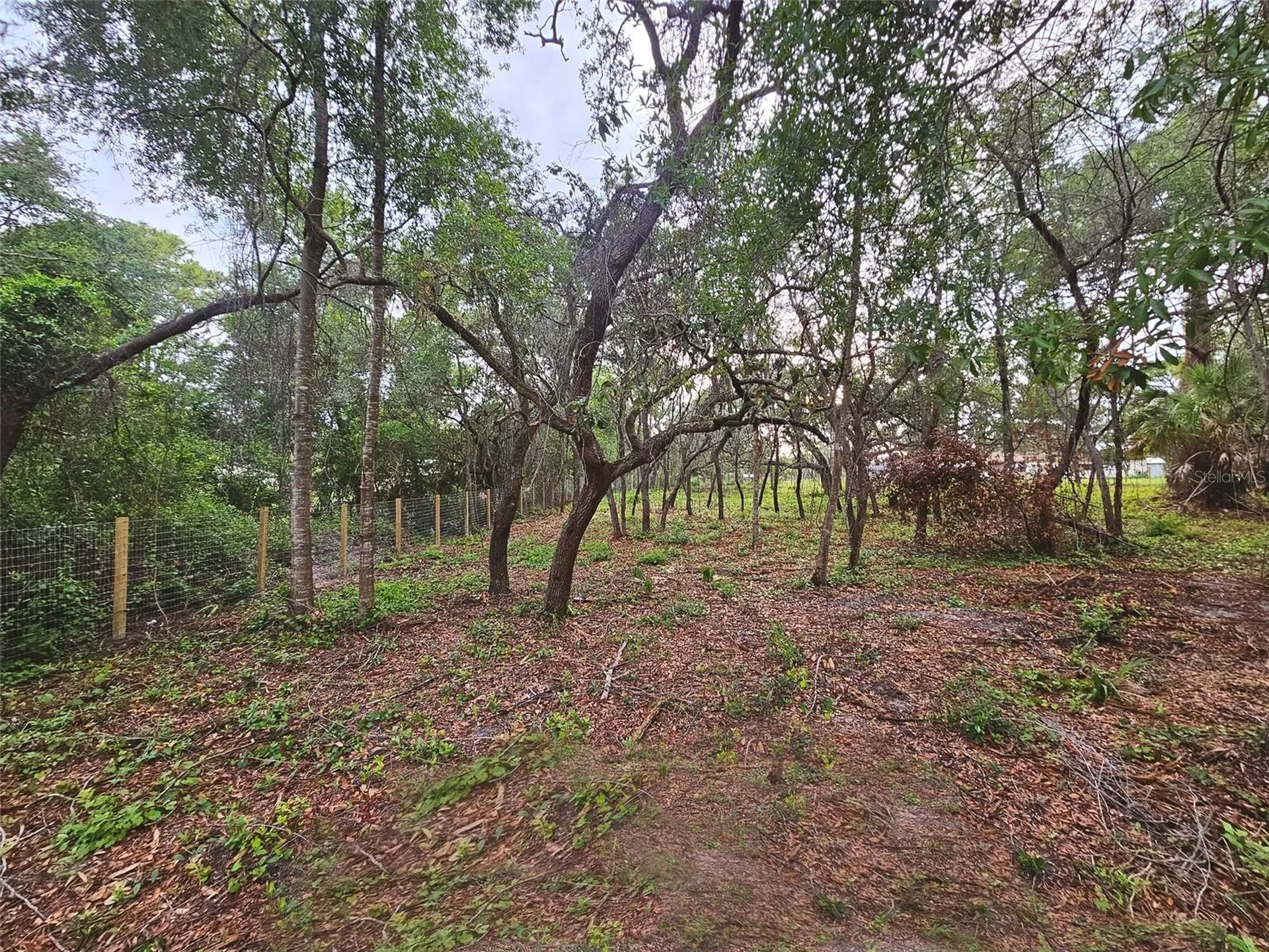 17132 Ridgeline Trail Hudson FL 34667