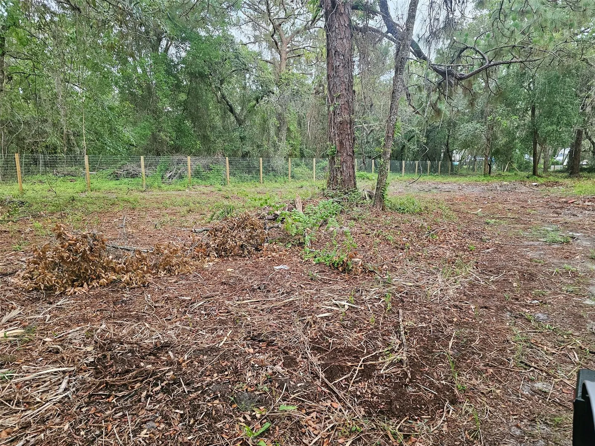17132 Ridgeline Trail Hudson FL 34667