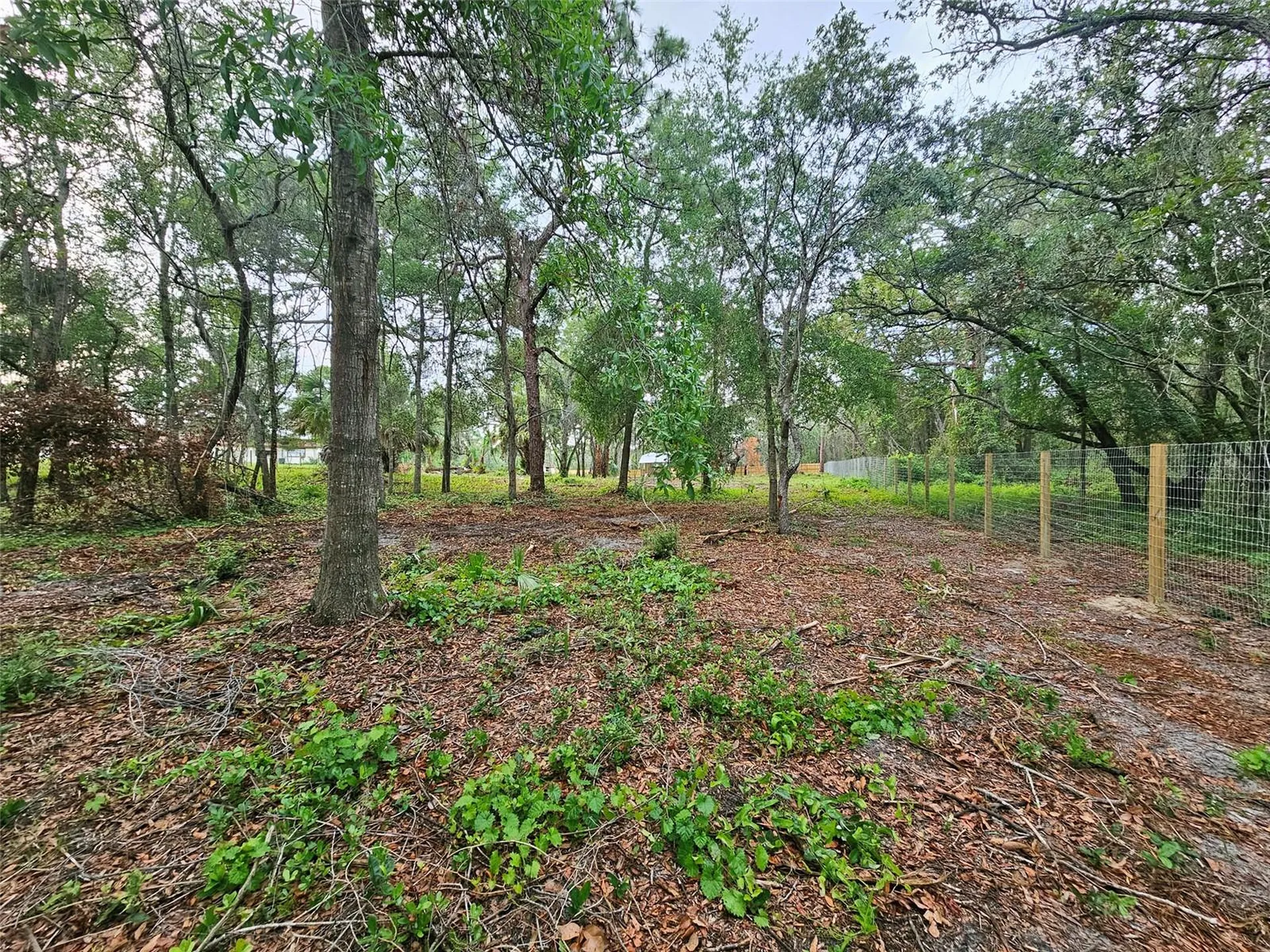 17132 Ridgeline Trail Hudson FL 34667