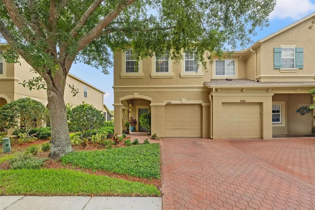 17527 Stinchar Drive Land O Lakes FL 34638