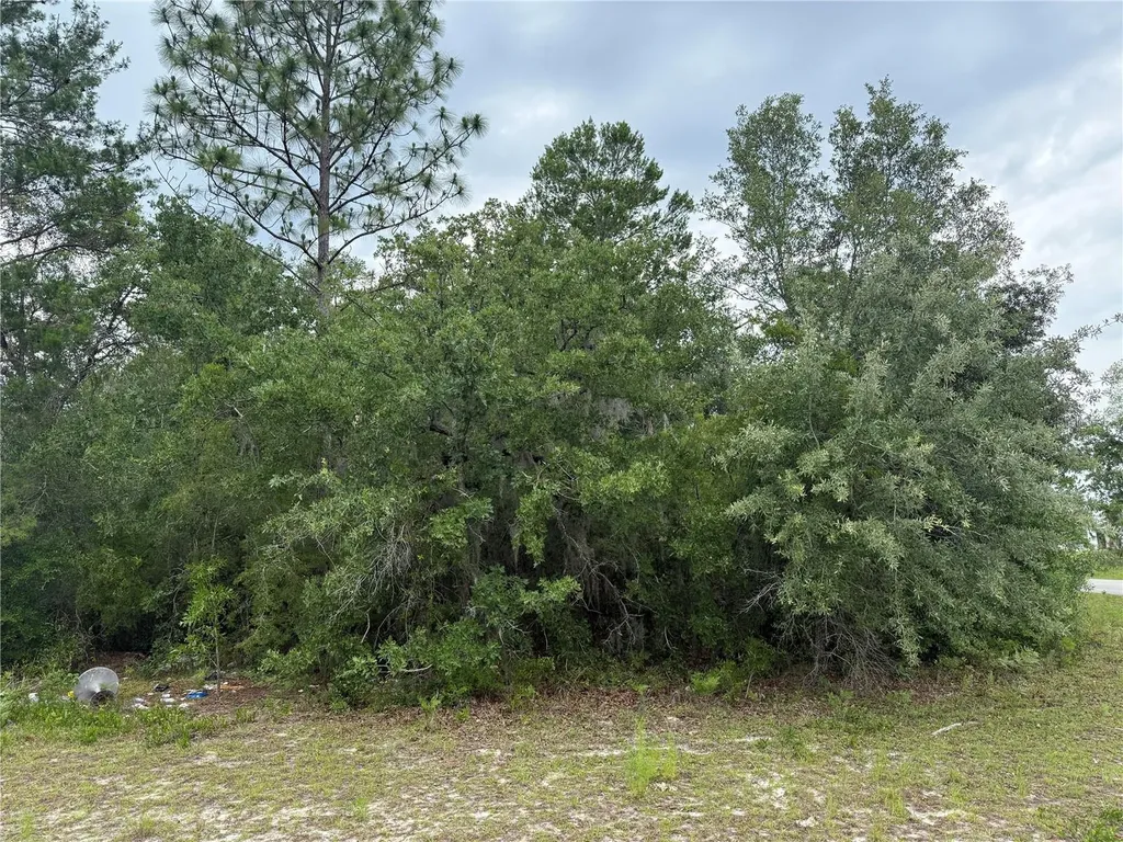0000 SW 138th Lane Ocala FL 34473