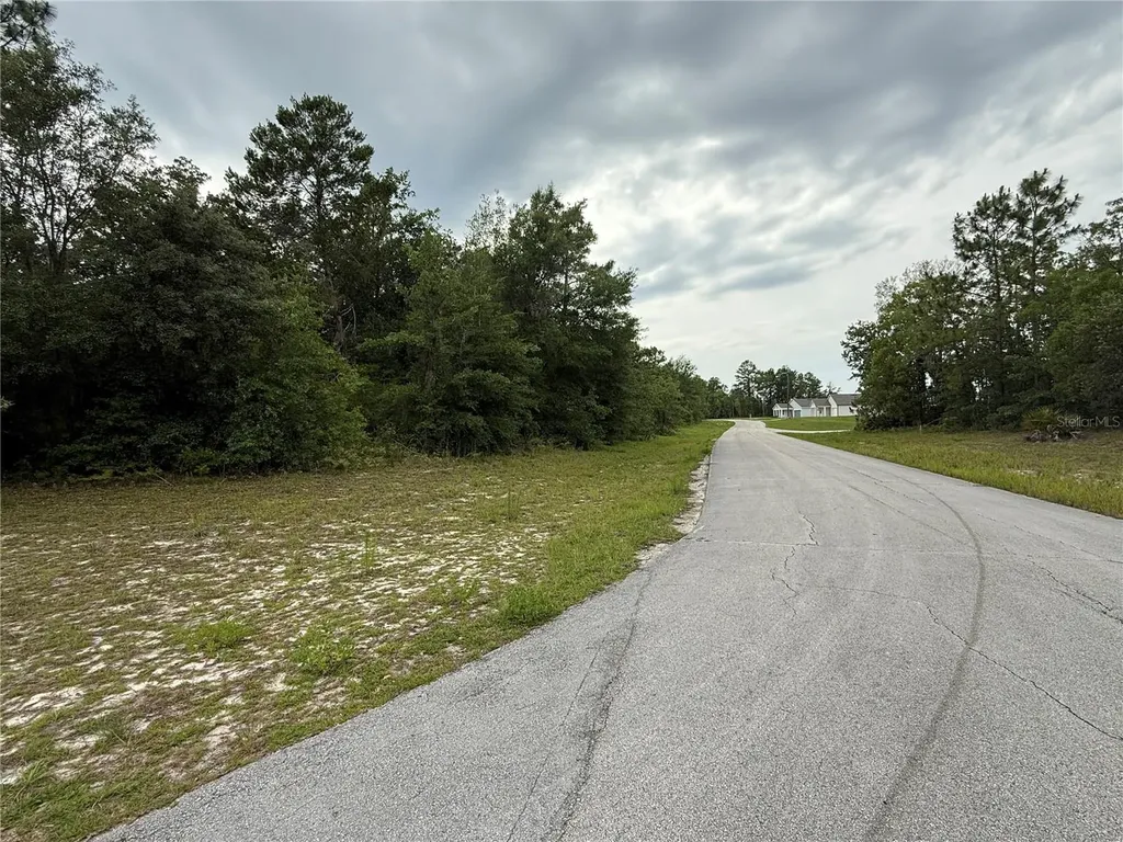 0000 SW 138th Lane Ocala FL 34473