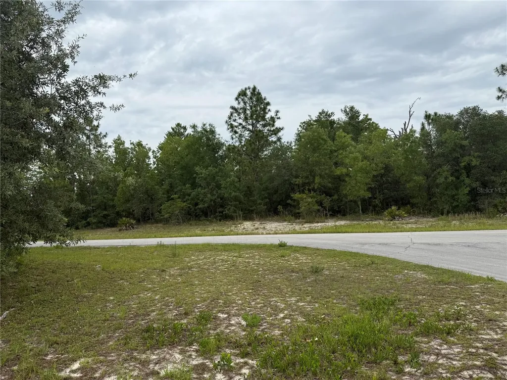 0000 SW 138th Lane Ocala FL 34473