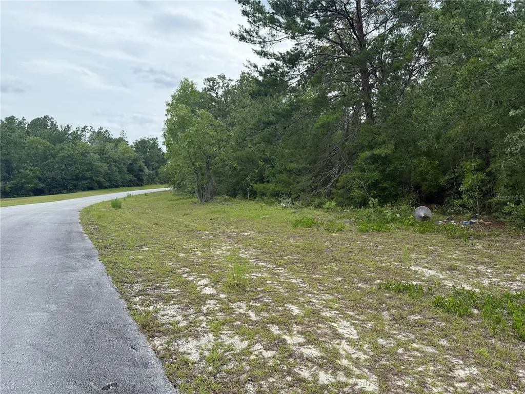 0000 SW 138th Lane Ocala FL 34473