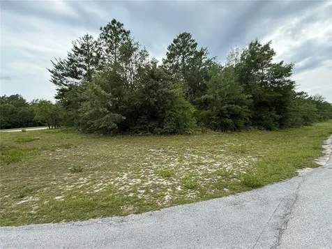 0000 SW 138th Lane Ocala FL 34473