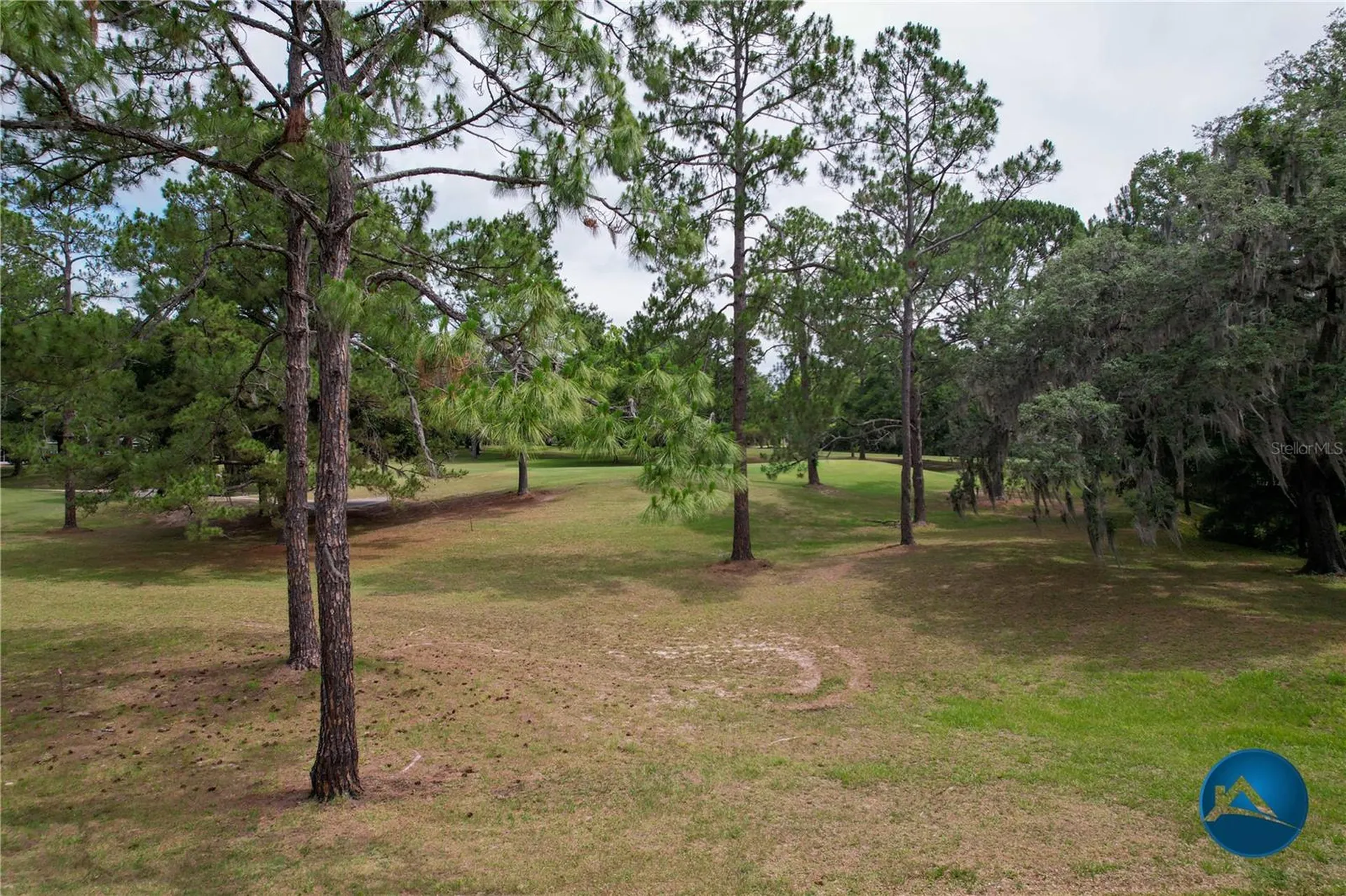 6214 NW 105th Avenue Alachua FL 32615