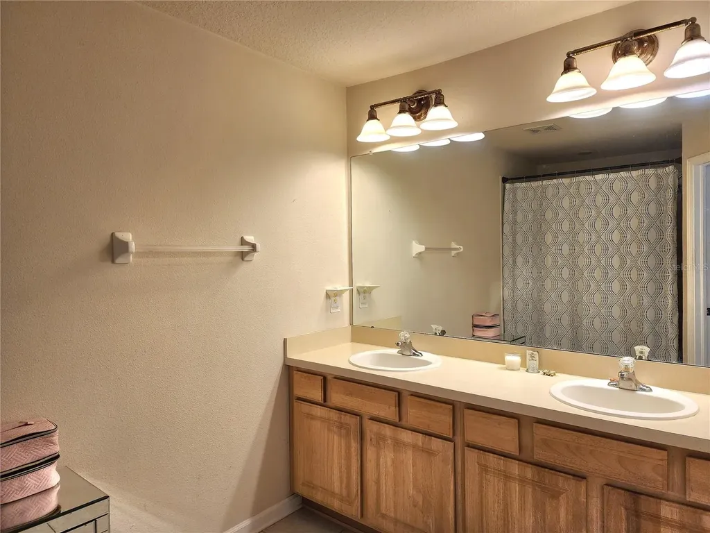 26541 Chimney Spire Lane Wesley Chapel FL 33544