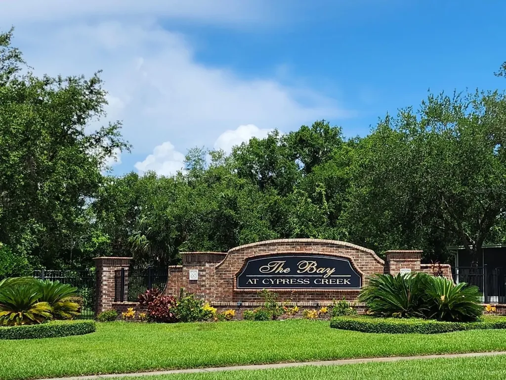 26541 Chimney Spire Lane Wesley Chapel FL 33544