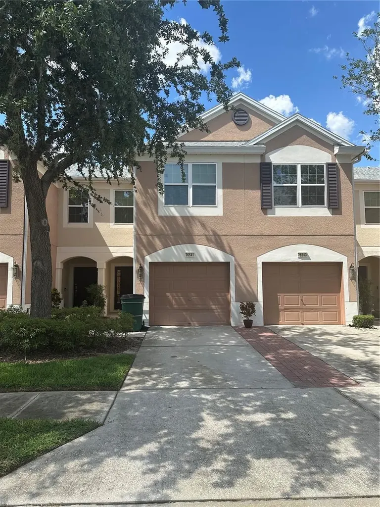 26541 Chimney Spire Lane Wesley Chapel FL 33544