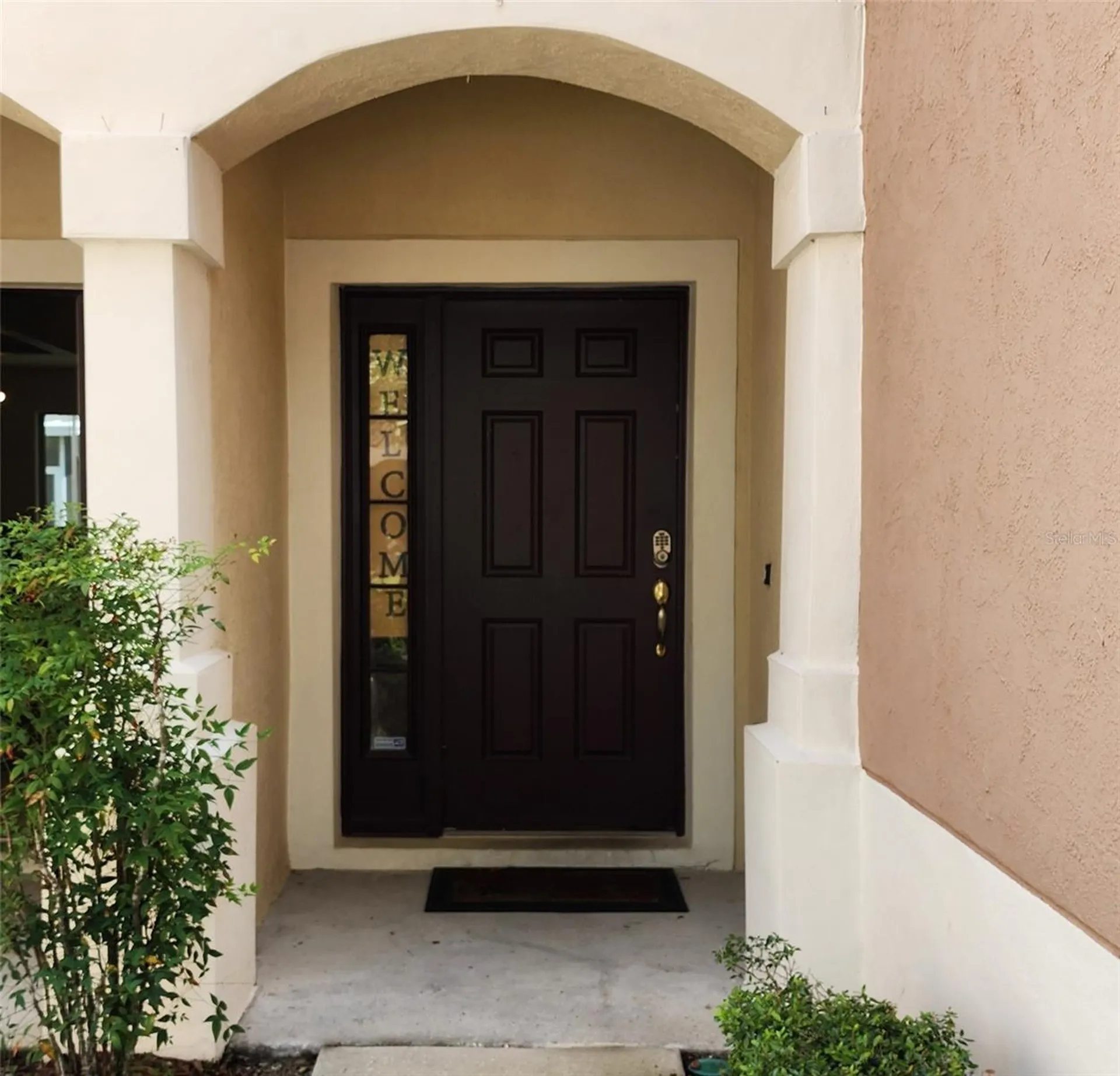 26541 Chimney Spire Lane Wesley Chapel FL 33544