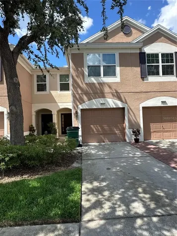 26541 Chimney Spire Lane Wesley Chapel FL 33544
