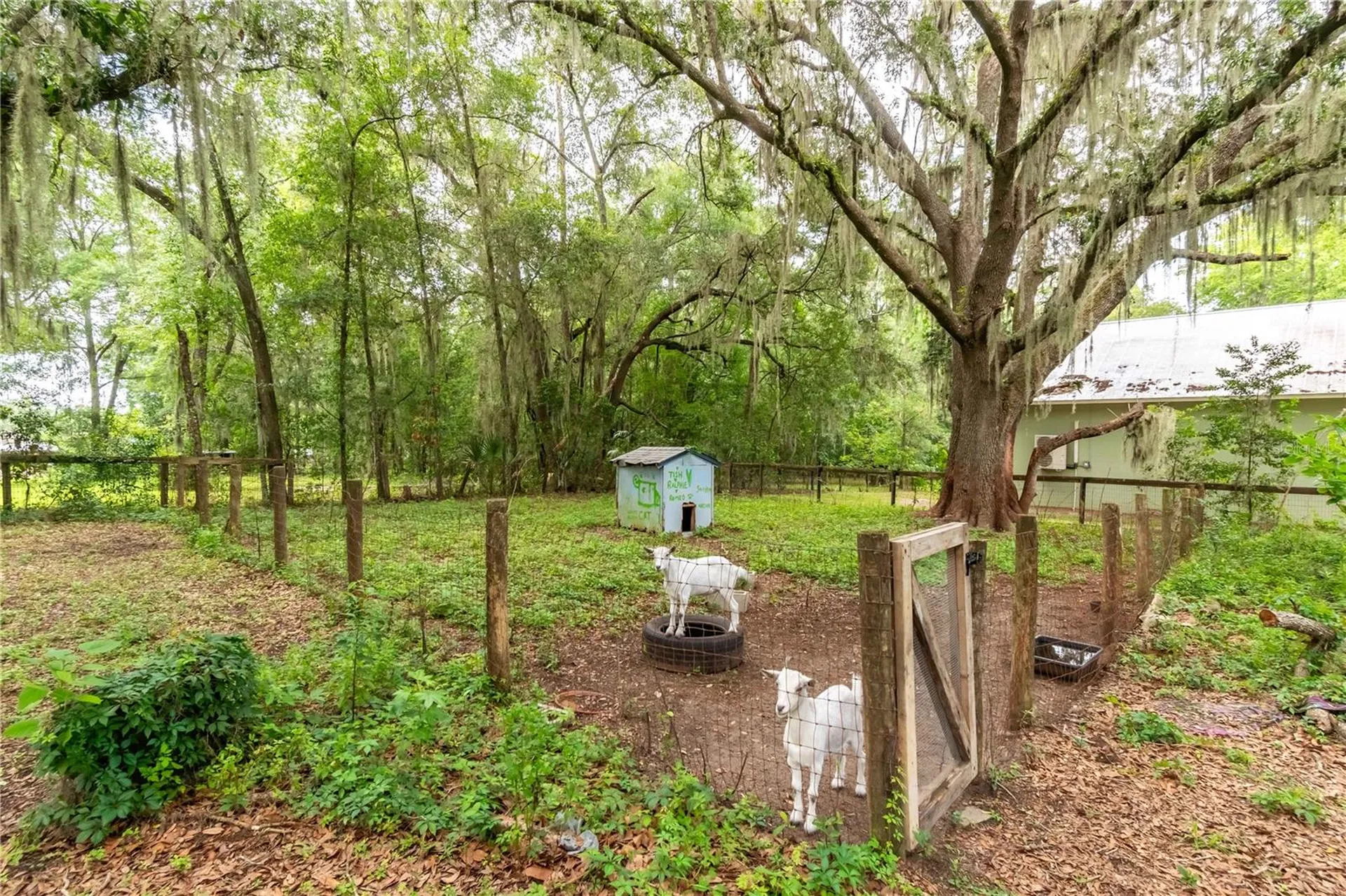 3549 SE 41st Place Ocala FL 34480
