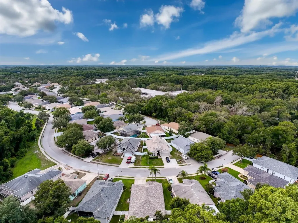 12200 Hunters Lake Drive New Port Richey FL 34654