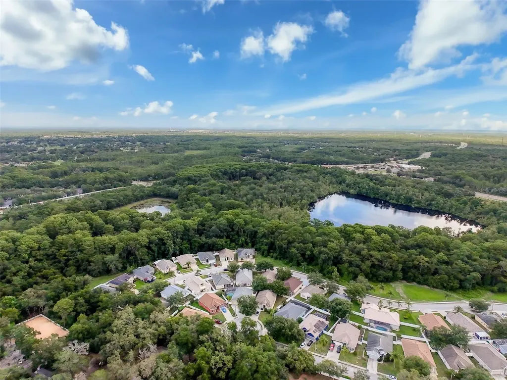 12200 Hunters Lake Drive New Port Richey FL 34654