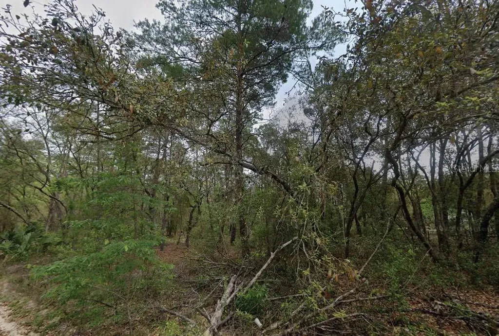 111 N Carolina Drive Satsuma FL 32189