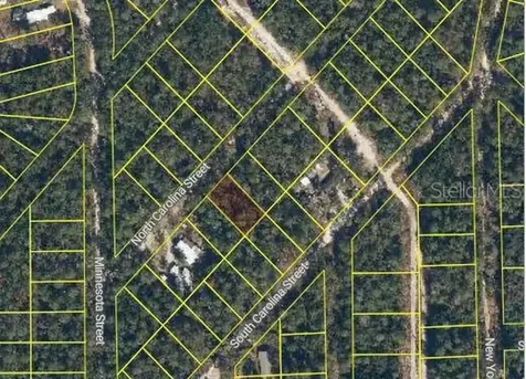 111 N Carolina Drive Satsuma FL 32189