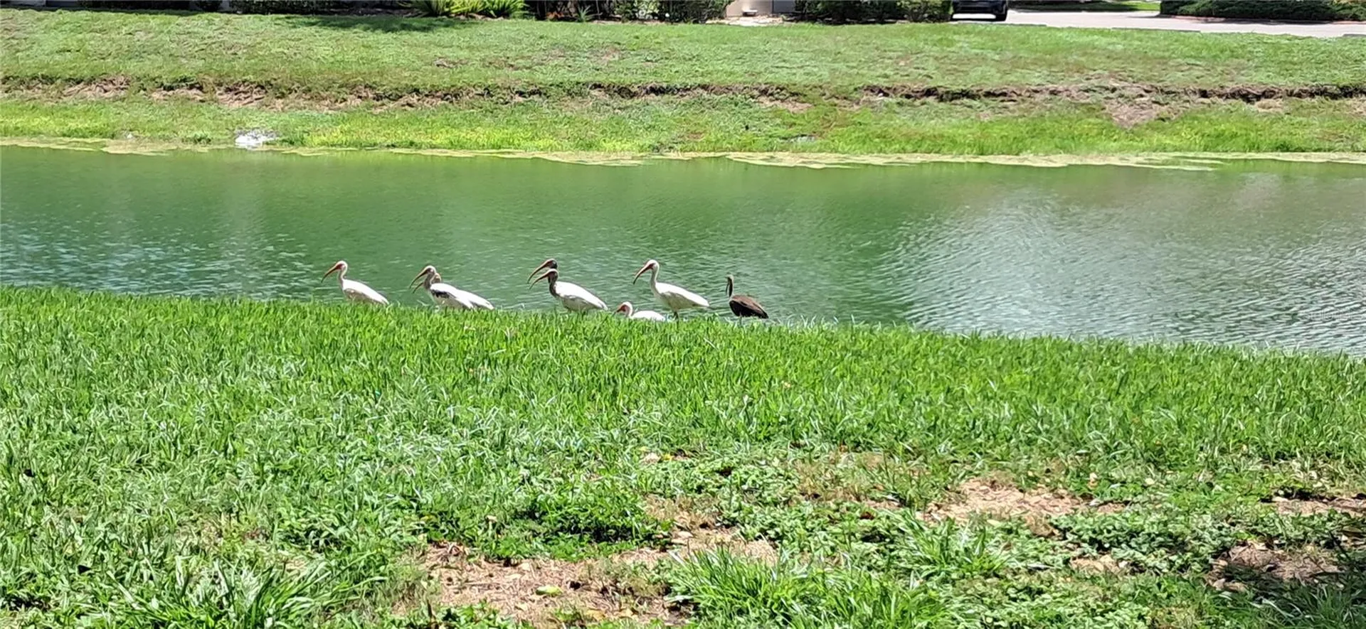 7201 Country Club Drive Lake Wales FL 33898