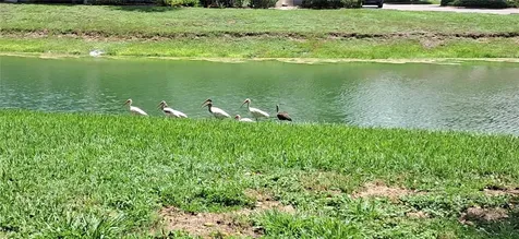 7201 Country Club Drive Lake Wales FL 33898