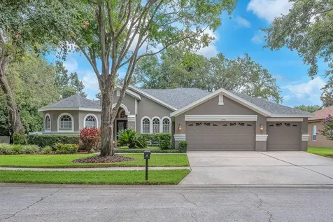 15206 Merlinpark Place Lithia FL 33547