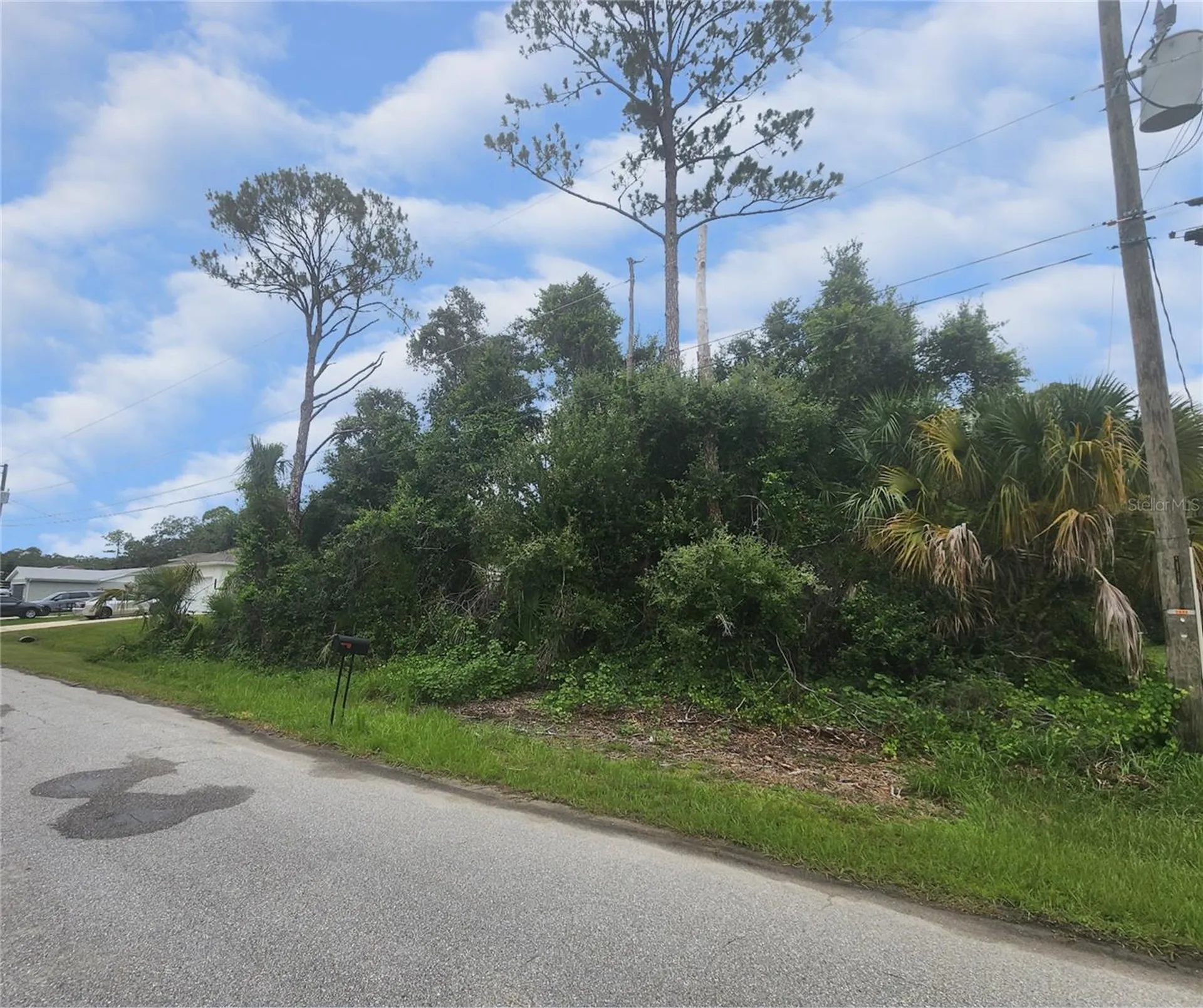 Tarabilla Avenue North Port FL 34291