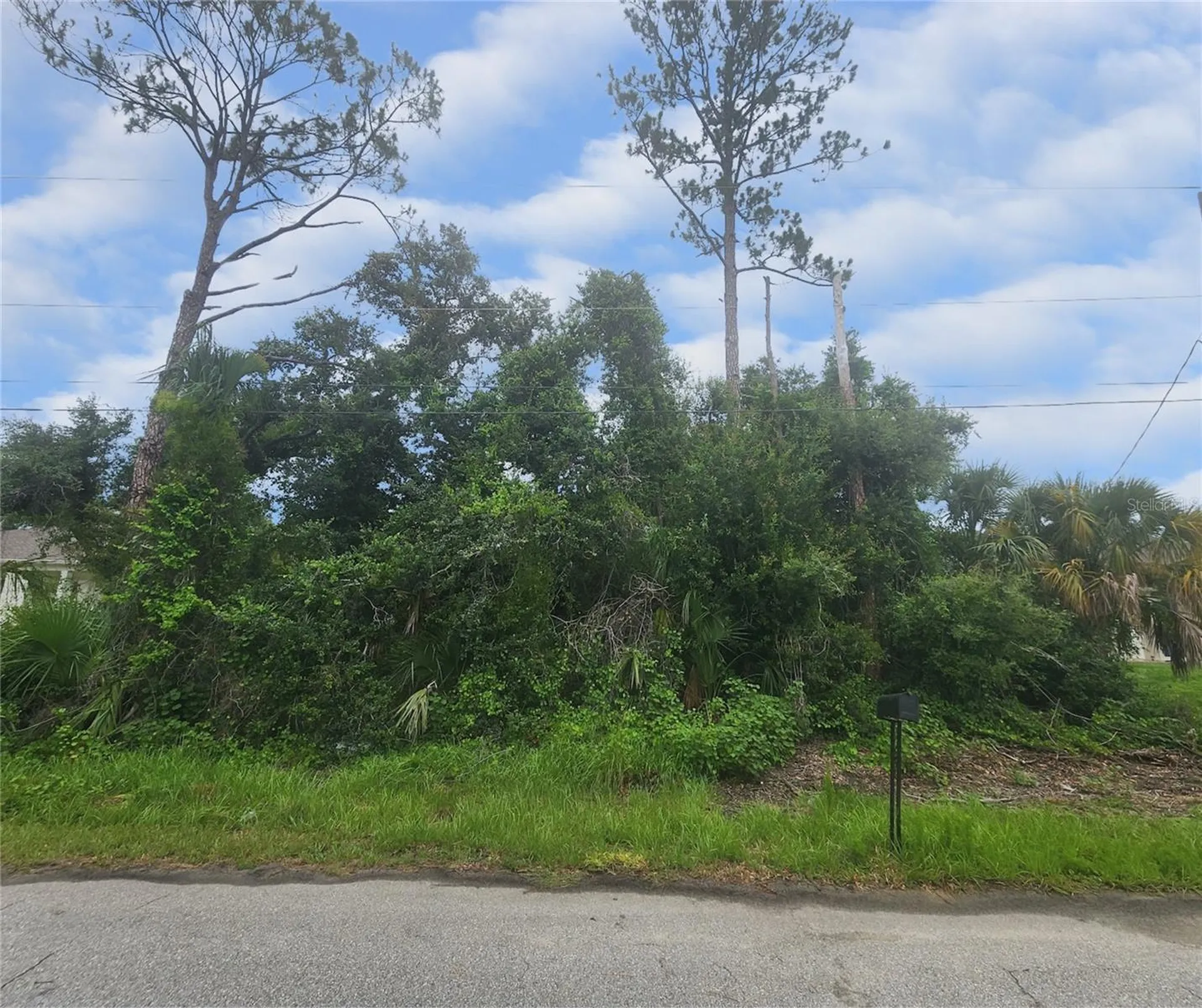 Tarabilla Avenue North Port FL 34291