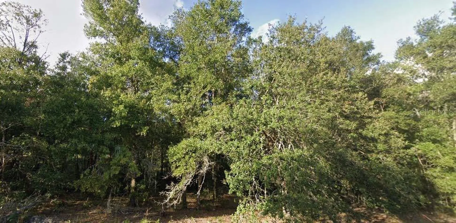 262 Cypress Street Interlachen FL 32148