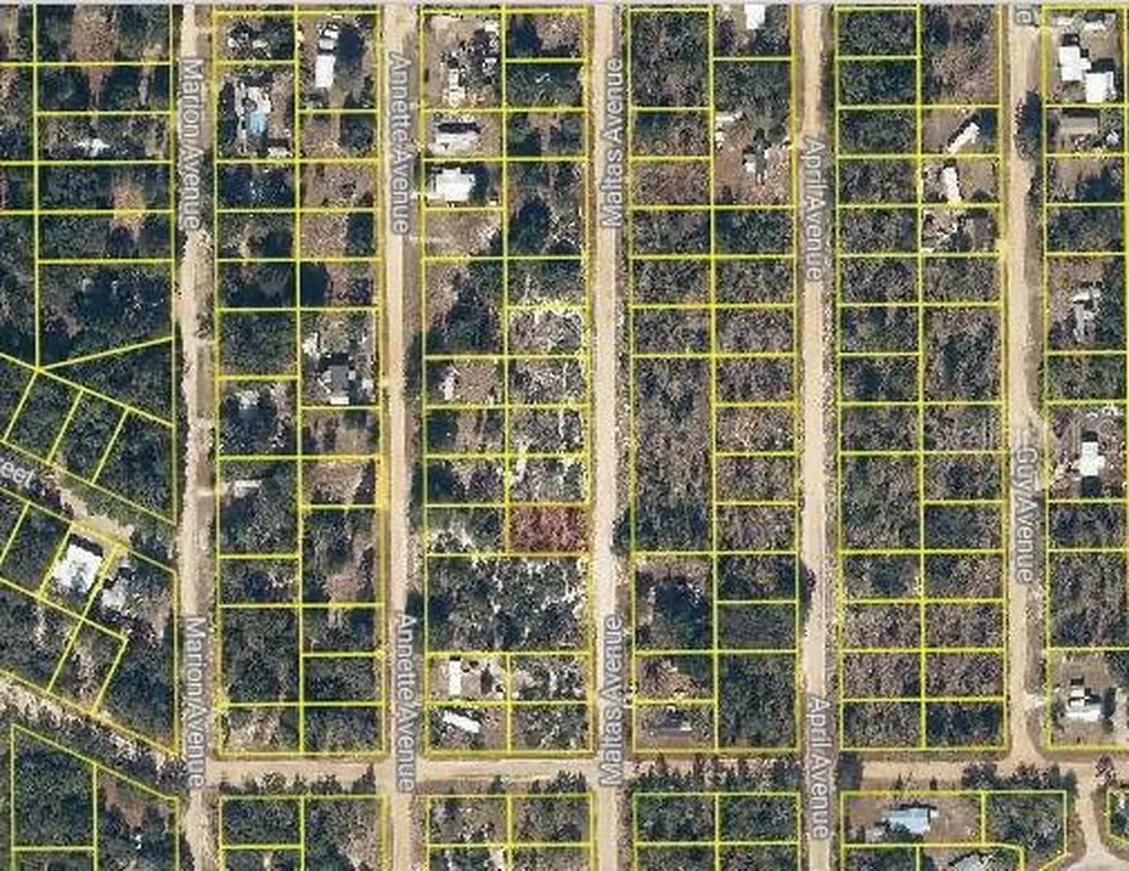 Maltas Avenue Interlachen FL 32148