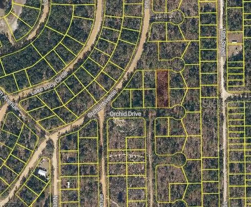 Orchid Drive Interlachen FL 32148