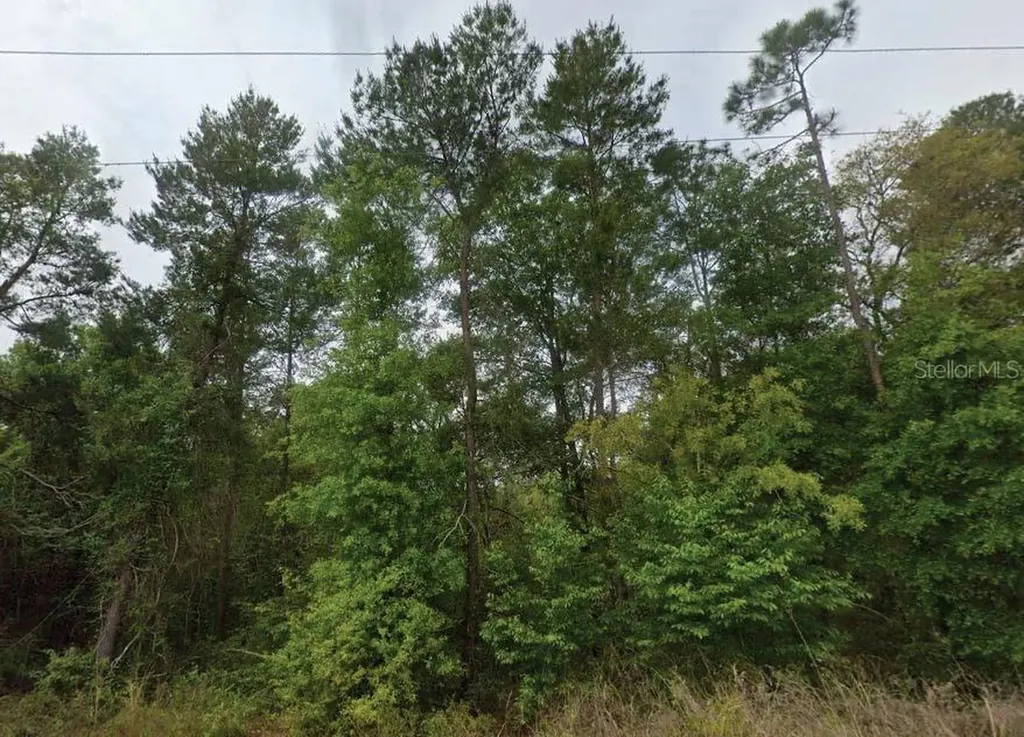 323 Ridge Road Satsuma FL 32189
