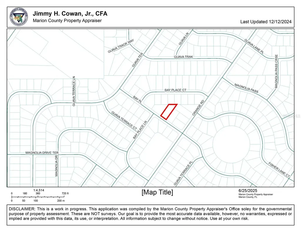 0 Bay Place Ocklawaha FL 32179