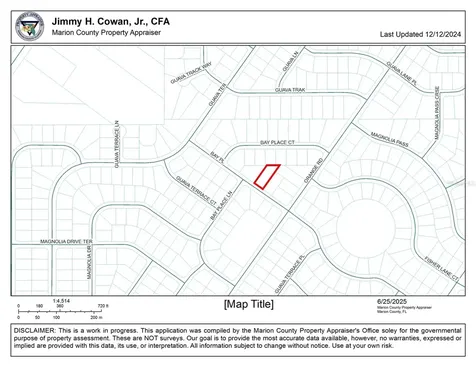 0 Bay Place Ocklawaha FL 32179